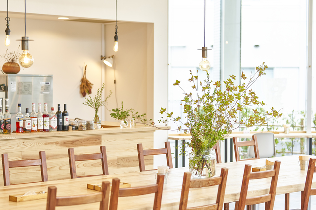 シンプルなカフェの内装　椅子　テーブル　観葉植物